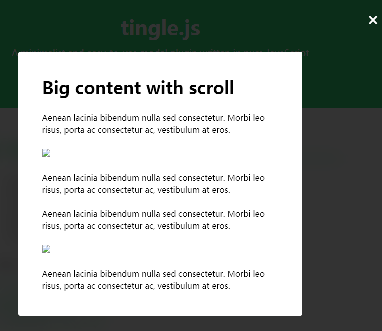 JS模态窗口插件tingle.js