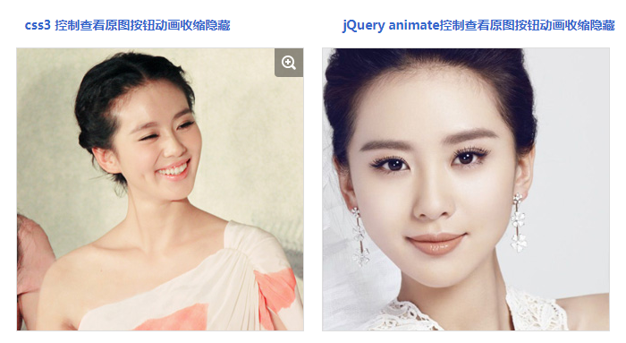 jquery css3查看原图按钮收缩隐藏特效代码