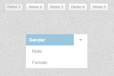 5种自定义下拉菜单列表样式特效代码